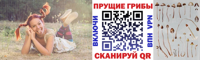 Галлюциногенные грибы GOLDEN TEACHER Белая Калитва